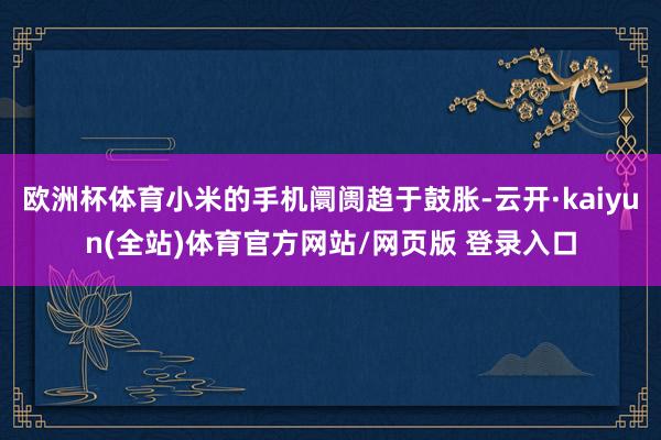 欧洲杯体育小米的手机阛阓趋于鼓胀-云开·kaiyun(全站)体育官方网站/网页版 登录入口