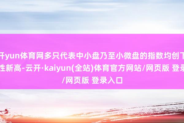 开yun体育网多只代表中小盘乃至小微盘的指数均创下阶段性新高-云开·kaiyun(全站)体育官方网站/网页版 登录入口