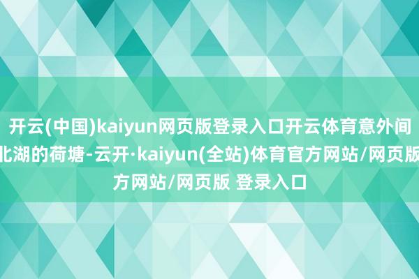 开云(中国)kaiyun网页版登录入口开云体育意外间扭头看向北湖的荷塘-云开·kaiyun(全站)体育官方网站/网页版 登录入口