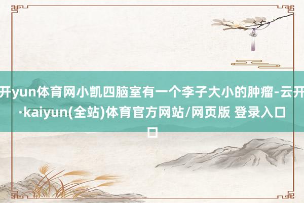 开yun体育网小凯四脑室有一个李子大小的肿瘤-云开·kaiyun(全站)体育官方网站/网页版 登录入口